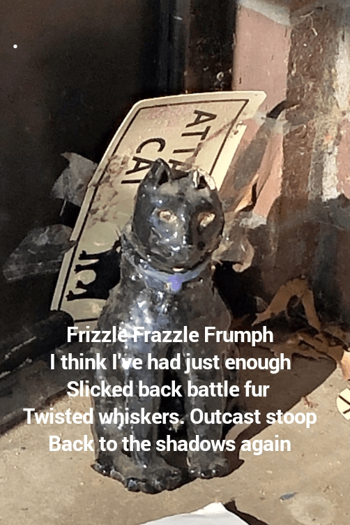 Frizzle Frazzle Frumph I think I've had just enough Slicked back battle fur Missing whiskers. Outcast stoop. Back to the shadows again