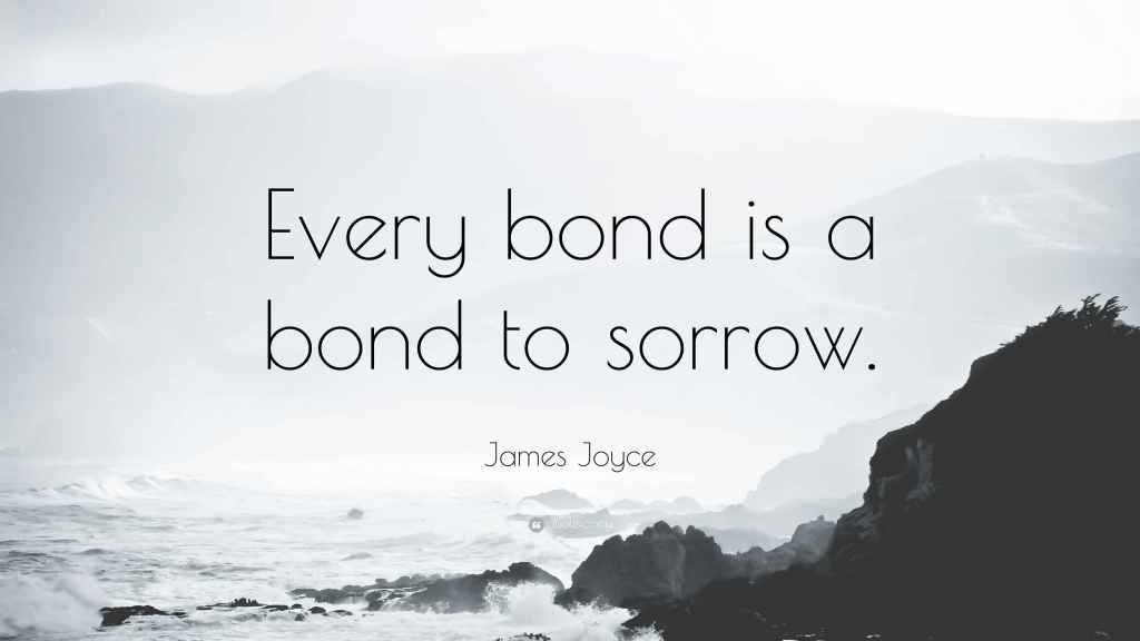 Photo from an ocean coast

Text::

Every bond is a bond to sorrow